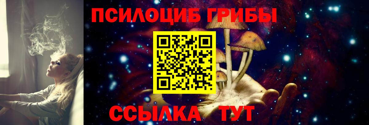 Заводоуковск  Галлюциногенные грибы GOLDEN TEACHER  Вход с VPN  Галлюциногенные грибы Magic Shrooms 